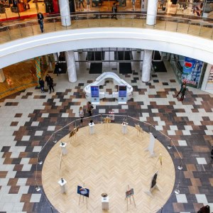 Торгово-развлекательный центр «Dana Mall (Дана Молл)» - изображение 5
