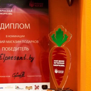 Сервис подарков-впечатлений «Elpresent (Эльпрезент)» - изображение 5