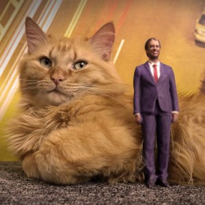 3d студия «Тридэбай» - изображение 4