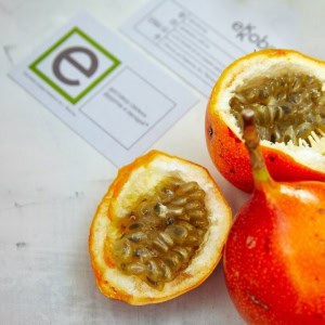 Доставка экзотических фруктов «Ekkobox.by (Эккобокс бай)», ул. Аладовых 17 - изображение 2