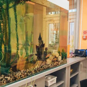 Студия красоты Релакс - изображение 1