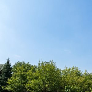 Усадьба Гармония в Могилеве - изображение 1