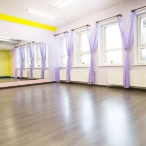Студия танца и фитнеса «DanceFly (ДэнсФлай)» - изображение 2