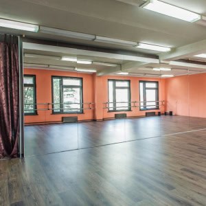 Студия танца «Roxy Dance (Рокси Дэнс)» - изображение 5