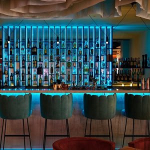 Гастробар «Elementum (Элементум)» - изображение 2