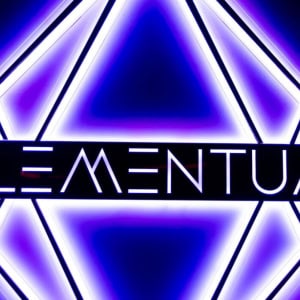 Гастробар «Elementum (Элементум)» - изображение 3