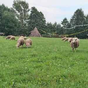 Деревня-музей Забродье - изображение 3